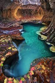 The canyon's natural subway is spectacular tunnel sculpted by two curved canyon walls. 35 Amazing Places In Our Amazing World Emerald Pool At Subway Zion National Park Utah Places To Travel Travel Places To See
