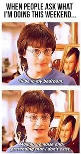 Harry awoke on monday positively not ready to start the week. When People Ask What I M Doing This Weekend Harry Potter Lustig Lustig Lustige Bilder