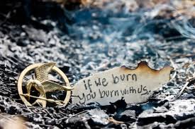 If We Burn You Burn With Us Suzanne Collins Hunger Games The Mockingjay Hunger Games Quotes Hunger Games Hunger Games Fandom