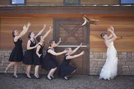 Maybe you would like to learn more about one of these? Brides Throwings Cats Il Tumblr Con Le Spose Che Lanciano Gatti Invece Del Bouquet