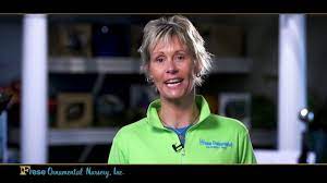Bergman nurseries is the largest landscape and irrigation contractor and retail garden center firm in the quincy, il area. Video Gallery Frese Ornamental Nursery