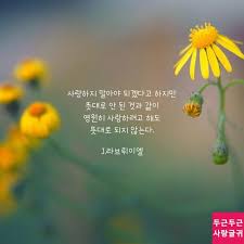 뜻대로 되지 않는 사랑 사랑 인용구 명언
