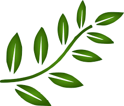 Jelajahi koleksi daun, hijau, vektor gambar logo, kaligrafi, siluet kami yang luar biasa. Daun Vektor Png 4 Png Image