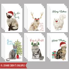 Winter postcard with a cat dog and penguins. 24 Funny Cat Christmas Cards Meowy Christmas Holiday Greeting Cards With Envelopes For Cat Lovers Designed Made In Usa Walmart Com Walmart Com
