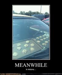 Meanwhile In Arizona Arizona Humor Funny Pictures With Words Ghetto Humor