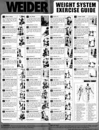 19 All Inclusive Weider Platinum Exercise Chart