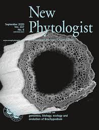 Check spelling or type a new query. Structure And Expression Of Genes Coding For Structural Proteins Of The Plant Cell Wall Jose 1993 New Phytologist Wiley Online Library