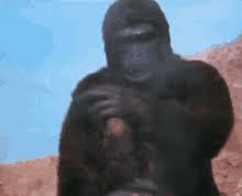 Maybe you would like to learn more about one of these? Gorilla Giving Finger Gifs Tenor