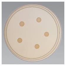 Mueller hinton agar (mha) can be purchased from commercial suppliers or can also be prepared from the dehydrated medium. Thermo Scientificmueller Hinton Agar W 4 Nacl 6g Ml Oxacillin Mueller Fisher Scientific