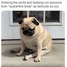 Doggo Meme Dance Party 35 Memes Memes Funny Relatable Memes Doggo