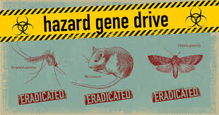 A stopping of an activity for an…. Moratorium On Gene Drive Organisms