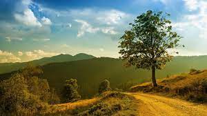 Early Morning Coffee In Hand And A Long Drive To The River A Good Way To Start Any Day Mountain Landscape Landscape Wallpaper Best Nature Wallpapers