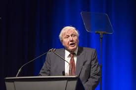 Only later will the directors. Community Attends David Attenborough A Life On Our Planet Panel Discussion The Standard
