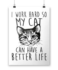I Work Hard So My Cat Can Have A Better Life Poster Cat Quotes Funny Cat Quotes Funny Cats
