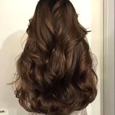 Light golden brown hair color. Hair Color Dark Golden Brown Epsa Shopee Philippines