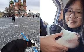 An American walked her pet cow in Moscow's Red Square. Spoiler alert:  Trouble ensued
