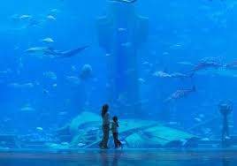 We did not find results for: Beauty Will Save The World