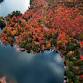Leaf Peeping Paddle | October 25 event image