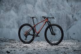 Image result for Orbea