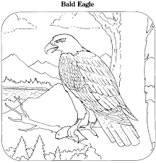 For colored hearts, print out the file on red, pink, or your chosen color of a4 or letter size paper. Bald Eagle Coloring Page Bald Eagle Free Printable Coloring Pages Animals