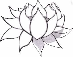 Cose Facili Da Disegnare Fiore Di Loto Disegno A Matita Schizzi Di Fiori Disegni Facili Schizzi Facili
