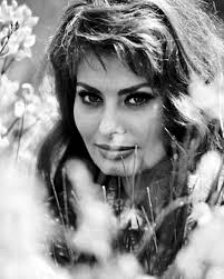 Sophia Loren in Naples, Italy, 1961. In early 1960s Europe, female body  hair was far less taboo than in American media where razor companies were  heavily marketed. Loren was already a global