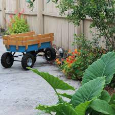 Some have a creeping growth habit, forming an attractive flowering ground cover.and others grow in more upright and contained mounds with extensive branching. The Rainforest Garden How To Garden With A Baby Or Toddler Without Losing Your Mind