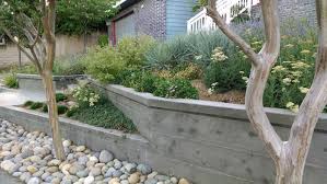 A quick introduction to qbo: Jing Zhang And David Cooney S Garden 31 Bringing Back The Natives Garden Tour
