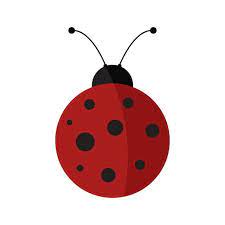 Ladybug Icon Ladybird Clipart Feeler Wildlife Png And Vector With Transparent Background For Free Download Bug Art Ladybug Dot Icon