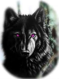Pin By Krystal Sky On Books Black Wolf Purple Eyes Anime Wolf