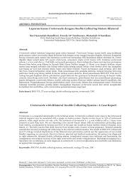 Sedangkan wanita berupa vagina, uterus dan ovarium.16 2.1.1 embriogenesis dipandang dari sudut fisiologi, sistem urogenital dapat dibagi dalam dua unsur yang berbeda sifatnya : Pdf Laporan Kasus Ureterocele Dengan Double Collecting Sistem Bilateral