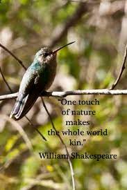Abnormal Umstritten Erregung One Touch Of Nature Makes The Whole World Kin Meaning Genau Angriff Der Eigentumer