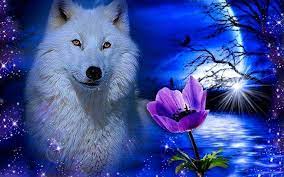 Perfect screen background display for desktop, iphone, pc, laptop, computer. Cool Wolf Wallpapers For Ps4 Wolf Wallpapers Pro