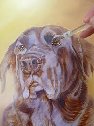 Probably the number one reason i chose paint your life. How To Paint A Dog In Acrylics Arttutor