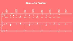 Birds Of A Feather Flock Together Song Lyrics Birds Of A Feather Sheet Music Bird Feathers Feather Sheet Music