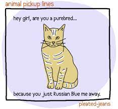Animal Pickup Lines 7 Pics