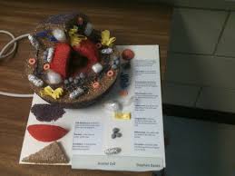 Check spelling or type a new query. Viridi Discentium Model Cells Model Cells It S Project Time In The City Schools