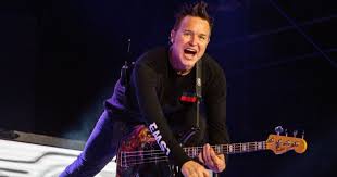 His sister's name is anne hoppus. Mark Hoppus Net Worth 2021 Age Height Weight Wife Kids Bio Wiki Wealthy Persons