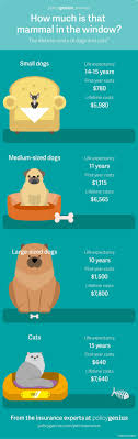 Anyone who has ever taken their pet to an emergency clinic knows how. The Lifetime Costs Of Your Dog Or Cat
