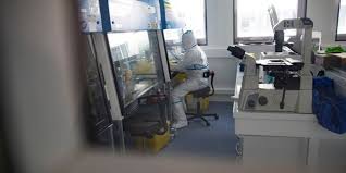 Most changes have little to no impact on the virus' properties. Covid 19 Le Nouveau Variant Decouvert En Bretagne Est Il Plus Difficile A Detecter