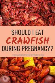 Pin On Seafood And Fish In Pregnancy