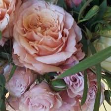Visitors can take a sip of their best wines while touring the magical grand canyons and partaking in the various outdoor activities in this city. China Rose Florist Greenhouse Telluride Co Action Local Colorado