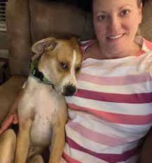 Our Favorite Breed Is Rescued Our Favorite Breed Is Rescued