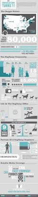 Board Your Dog In A Real Home Infographic Pet Insurance Cost Pet Insurance