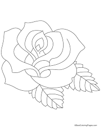 Take a deep breath and relax with these free mandala coloring pages just for the adults. Drawing Roses 161904 Nature Printable Coloring Pages