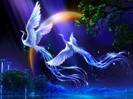 Phoenix Wallpaper Google Search Beautiful Fantasy Art Cross Paintings Fantasy