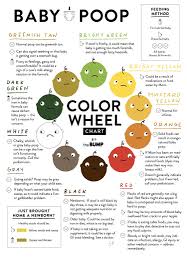 Healthy Poop Chart Stool Color Changes And Meaning Concept