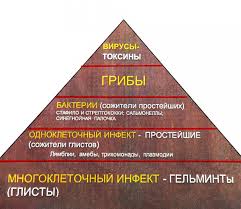 Kak Uznat Est Li U Menya Parazity Topdoc Me Medicinskie Stati I Blogi V Almaty