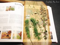 Jun 25, 2021 · flowers will discuss his book for approximately half an hour and then open up the discussion for questions and answers. How To Press Flowers Using A Book And Some Paper Craftify My Love