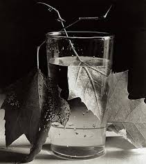 Edward steichen, baptised éduard jean steichen, was born on march 27, 1879 in a small house in the village of bivange in the grand duchy of luxembourg. Still Life Photography Wall Art